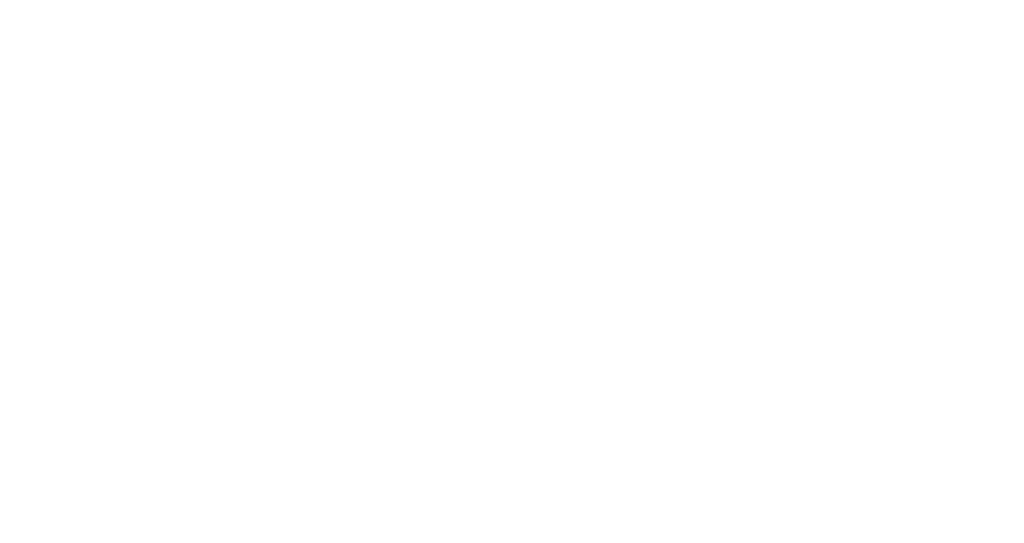 Seitlicht Zielführend Logo